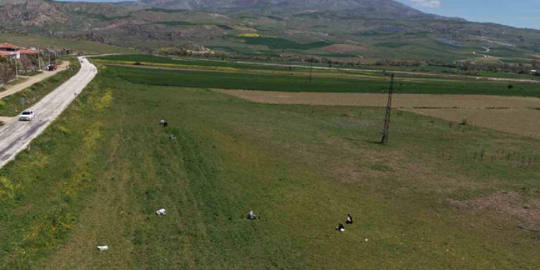 Sezon başladı, kadınlar yeşilliğe çıktı: Bıçak yardımıyla tek tek toplanıyor 5
